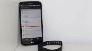 'Fitbit Flex Fitness-Armband im Test'