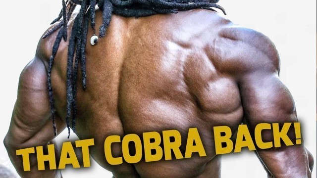 'COBRA BACK WORKOUT FOR THICKNESS'