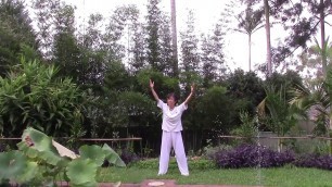 'hunyuan tai chi qigong training program created by Sue Chang'