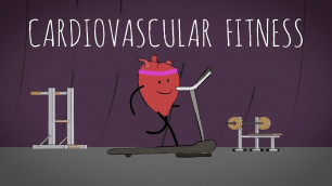 'Cardiovascular Fitness'