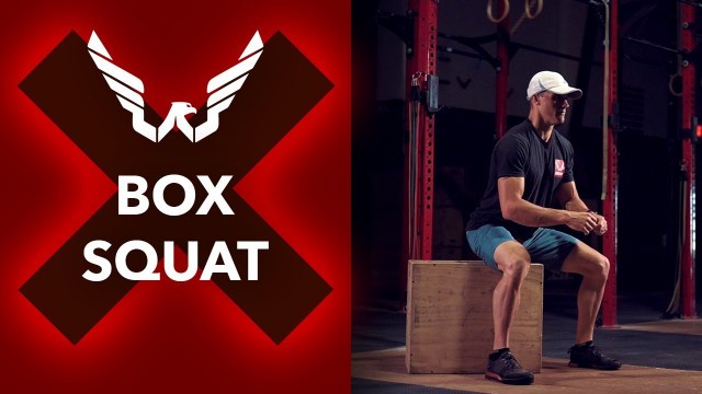 'Wingman Fitness - Box Squat'