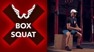 'Wingman Fitness - Box Squat'