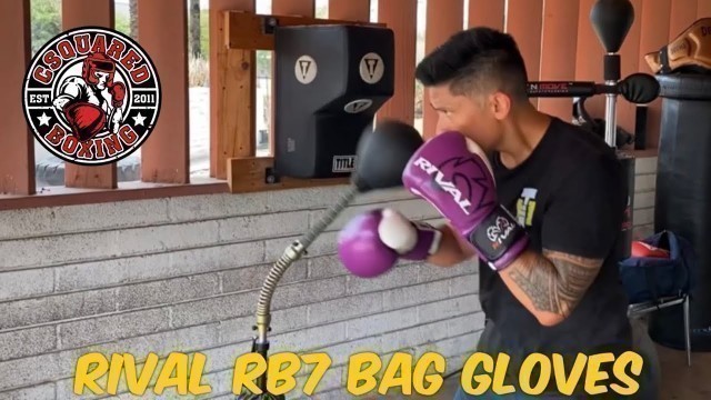 'COBRA BAG TRAINING- Rival RB7 Fitness Bag Gloves'