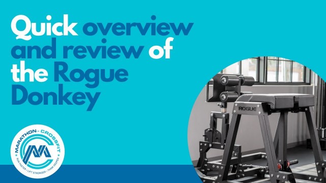 'Overview and review of the Rogue Donkey'