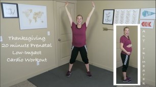 'Thanksgiving 20 Minute Low-Impact Cardio Prenatal Workout (28 weeks)'