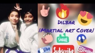 'DILBAR| Martial Art Cover| Fitness Freaks| Nora Fatehi| John Abraham| Satyamev Jayate| All new idea'