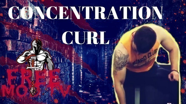 'CONCENTRATION CURL (İri Ön Kollar İçin)'