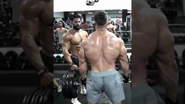 'Gym Status Video - Bodybuilding Motivation - Gym Motivation Videos - Dev Fitness World'