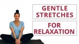 'Daily Gentle Stretches | Prenatal Stretching |  Follow Along | Endurance Cross Training Fitness'