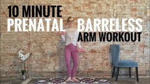 '10 Minute Prenatal Barre(less) Arm Workout | Dumbbells Only'