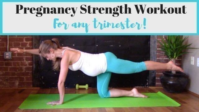 'Prenatal Workout - Safe Pregnancy Workout for Any Trimester!'