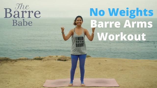 'No Weights Barre Workout for Beginners - Only 10 minutes w/ Stefi Lane'