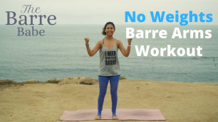 'No Weights Barre Workout for Beginners - Only 10 minutes w/ Stefi Lane'