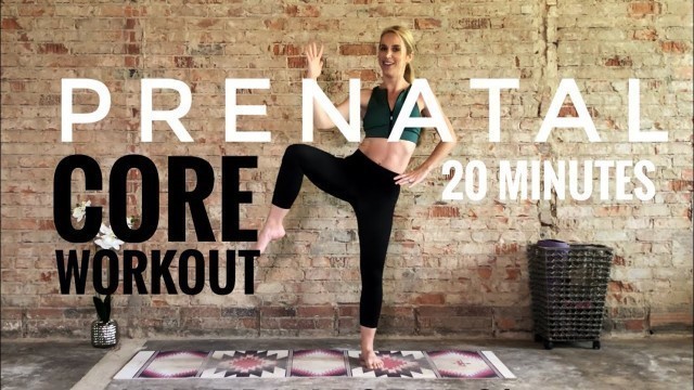 '20 Minute Prenatal Core Workout | First & Second Trimester | Low Impact!'