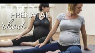 'Prenatal Fitness Video'