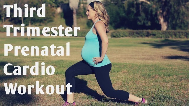 'Third Trimester Prenatal Cardio Workout---But Good for ANY Trimester of Pregnancy!'