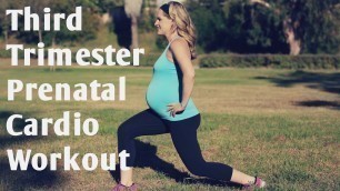 'Third Trimester Prenatal Cardio Workout---But Good for ANY Trimester of Pregnancy!'