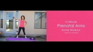 '15 Minute Prenatal Arms Home Workout'