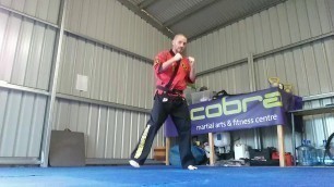 'Cobra Martial Arts Online Training 20/04/20 