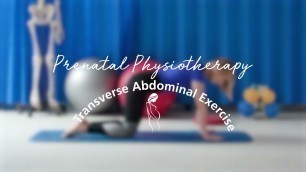 'Prenatal Physiotherapy: Transverse Abdominal Exercise'