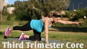 'Third Trimester Prenatal Core Workout--But Good for ALL Trimesters of Pregnancy'