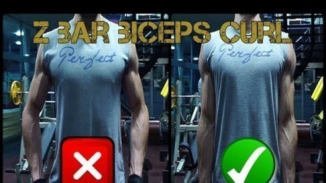 'Ön Kol Egzersizi: Z Bar Biceps Curl Nasıl Yapılır? Doğru Formu Nedir? Türkçe Anlatım.'