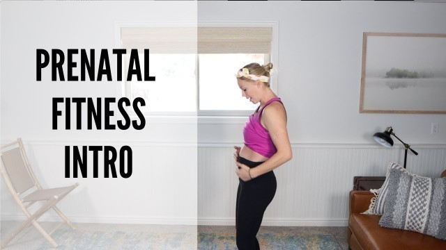 'Prenatal Fitness Introduction (Watch This First)'