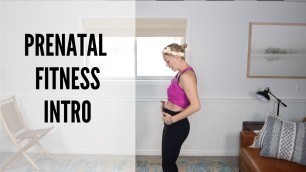 'Prenatal Fitness Introduction (Watch This First)'