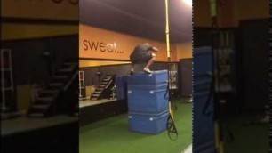 'CONVICT FITNESS: Box Jump 5+ feet'