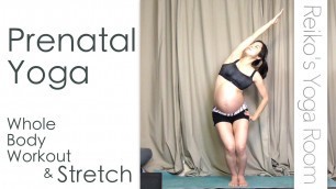 'Prenatal Vinyasa Yoga - All Level Whole Body Workout & Stretch -'