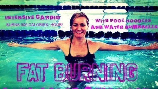 'Fat Burning Aqua Aerobic Workout with Water Dumbbells and Pool Noodles'