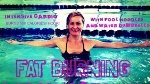 'Fat Burning Aqua Aerobic Workout with Water Dumbbells and Pool Noodles'