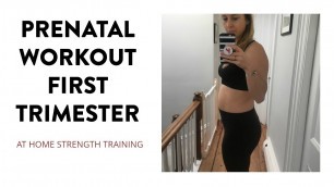 'Prenatal Pregnancy Workout First Trimester | SarahFit Pregnancy Fitness'