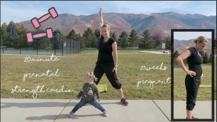 '20 Minute Cardio Strength Prenatal HIIT Workout (24 weeks pregnant)'