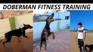 'SIMPLE Fitness Training For DOBERMAN | TAMIL VLOG'