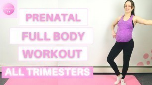 'Full Body Beginner Workout// Prenatal Safe No Equipment| LISA HART'