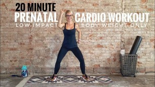 '20 Minute Prenatal Cardio Workout | Low Impact | Body Weight Only'