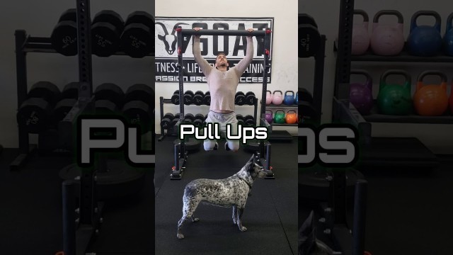 'BEST HOME GYM SETUP  (Rogue Fitness)'