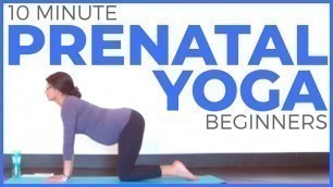 'PRENATAL YOGA for Beginners (10 minute Yoga) Safe for ALL Trimesters | Sarah Beth Yoga'