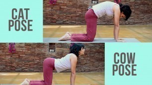 'Pregnancy Fitness: Cat Cow Pose for back - Prenatal Yoga:'