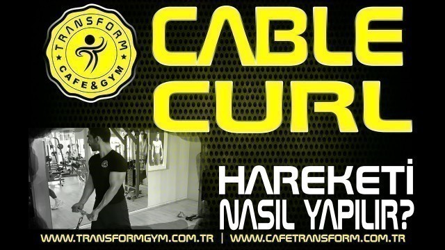 'CABLE CURL HAREKETİ NASIL YAPILIR? (BİCEPS ANTRENMANI) ÖN KOL HAREKETİ'