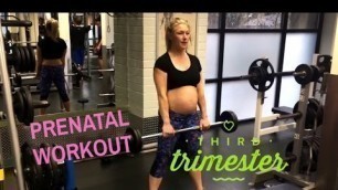 'Prenatal Gym Workout Exercises (3rd Trimester)'