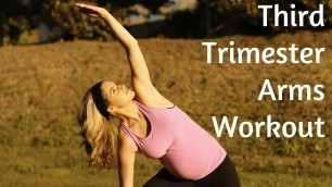 'Third Trimester Prenatal Arms Workout---But Good for ALL Trimesters of Pregnancy'