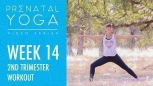 'Week 14 -  2nd Trimester Workout - Prenatal Yoga Series'