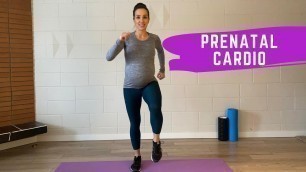 'Prenatal Cardio Workout - No Equipment (25 min)'