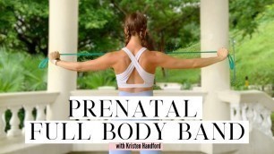 'PRENATAL TOTAL BODY RESISTANCE BAND WORKOUT - 21 Weeks Pregnant'