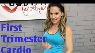 '20 Minute First Trimester Prenatal Cardio Workout-- Also Good For Any Trimester of Pregnancy'