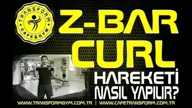 'Z- BAR CURL |BİCEPS CURL ANTRENMANI | NASIL YAPILIR? ÖN KOL HAREKETLERİ'