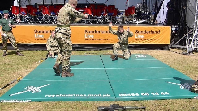 'Royal Marines Unarmed Commando Display Team (Sunderland International Airshow 2013)'