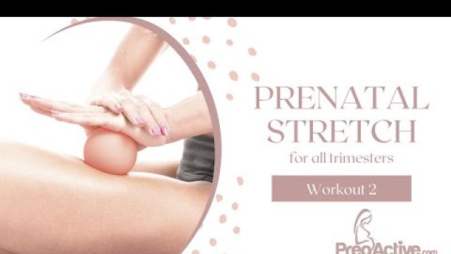 'Prenatal Stretches for Lower Back Pain - Workout 2'